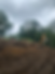 1F65D6BA-3636-41D9-A42F-94C6C10F8851.HEIC