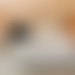 Ontdek hier de 3 Nieuwste Van der Valk Hotels in Nederland!