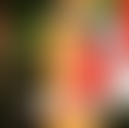 17x een origineel brievenbus cadeau verjaardag versturen!