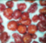 Fruits XV