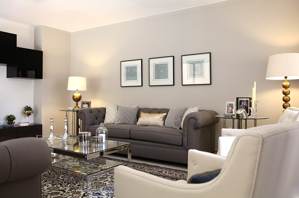 Living Room or Dining Room or Master Bedroom or Guest Bedroom