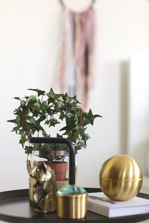 DESIGN FILES :: MAKING MAGIC!