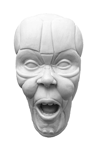 surprise fatpads 2 front.png