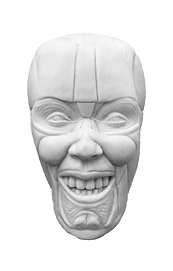 smile fatpads 2 front.png