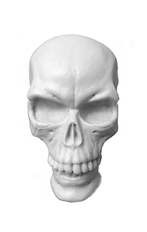 original skull.png