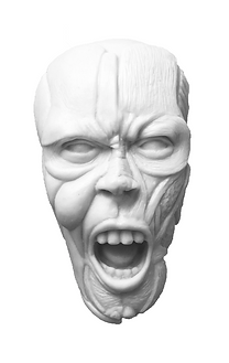 rage 50 50 2 front.png