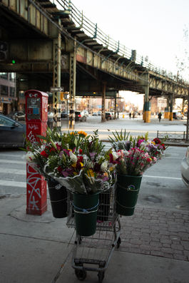 flowers in shopping cart
