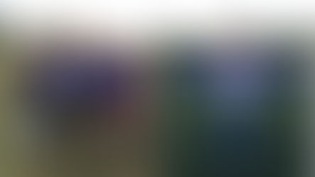 Premio a nuestros padres reporteros