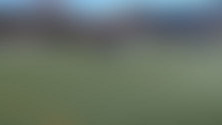 Alevín C 3 - 0 Rivas Fútbol Club E