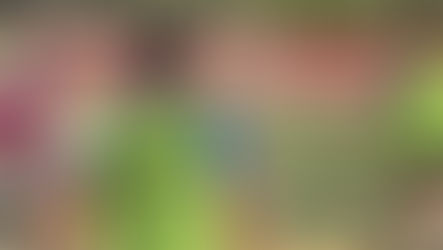 El Aficionado Masculino empieza la liga este fin de semana