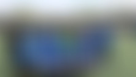 Juvenil Femenino 0 – 2 CDE Amistad Alcorcón