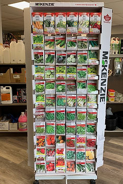 mckenzie seeds.jpg