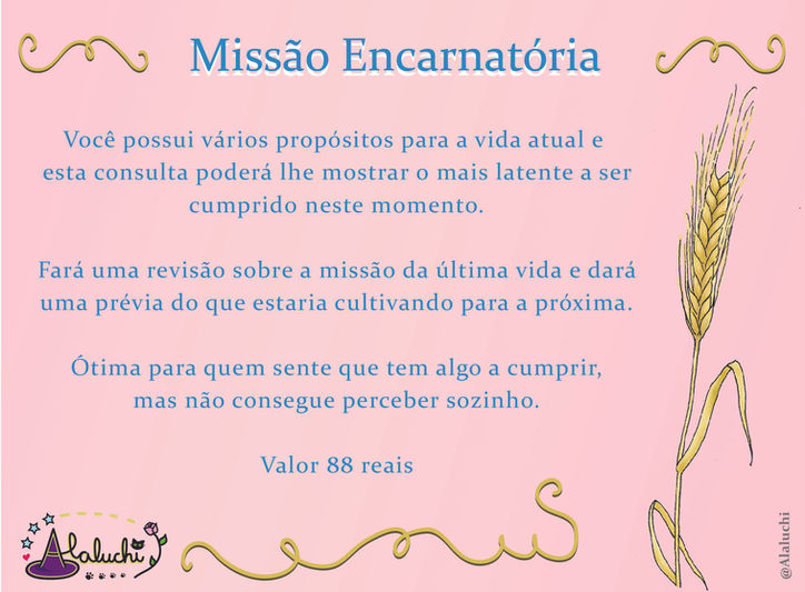 Missão Encarnatória.jpg