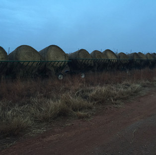 Storybit : Taylor Ranch - Blog Image