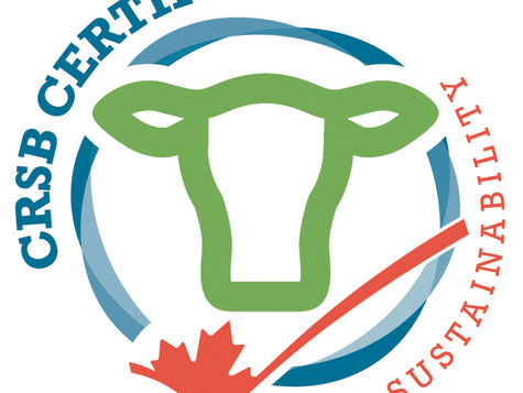 CRSB Driving Sustainability Within the Canadian Beef Industry