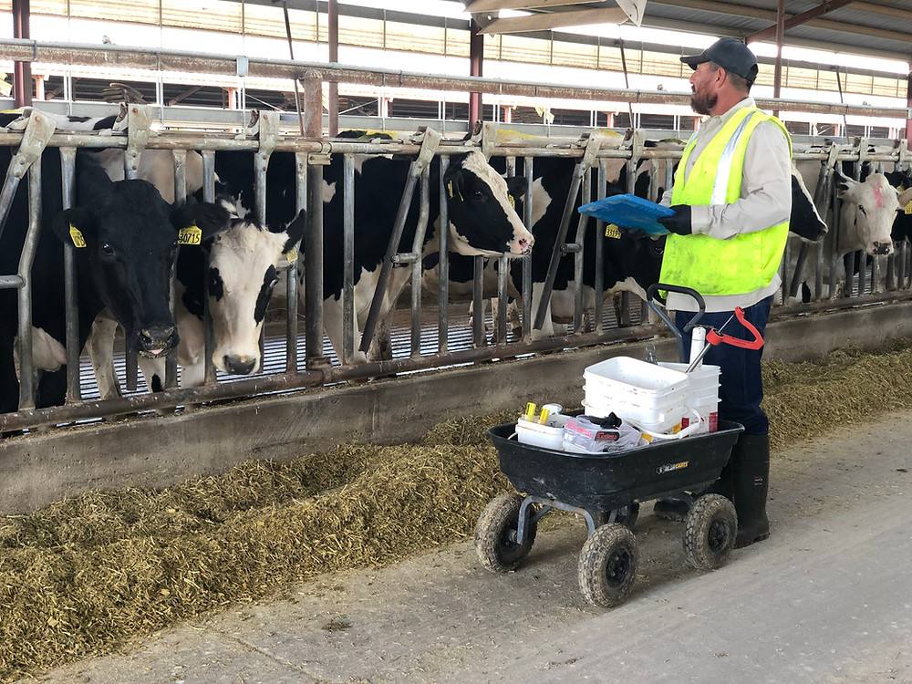WFCF Storybit: McCarty Family Farms - Blog Images