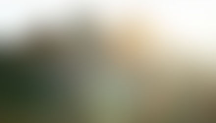 Where Food Comes From