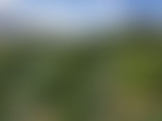 WFCF Storybit : Waverly Foster Farm