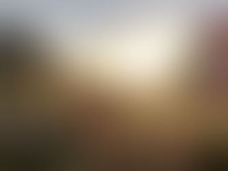 Storybit: Wild Lark Farms