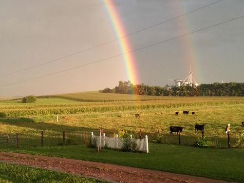 Storybit : Rural Route 1 Farms