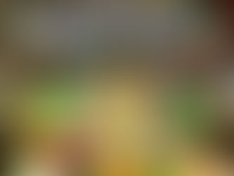 Increasing Popularity for Organic Foods