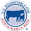 logo-usrsb.png