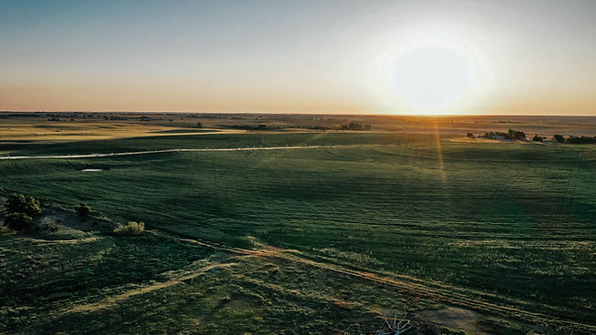 environmentals-Edited-29.jpg