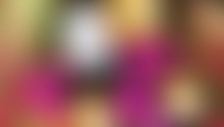 Storybit: Honey Girl Organics