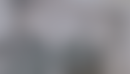 WFCF Storybit: McCarty Family Farms