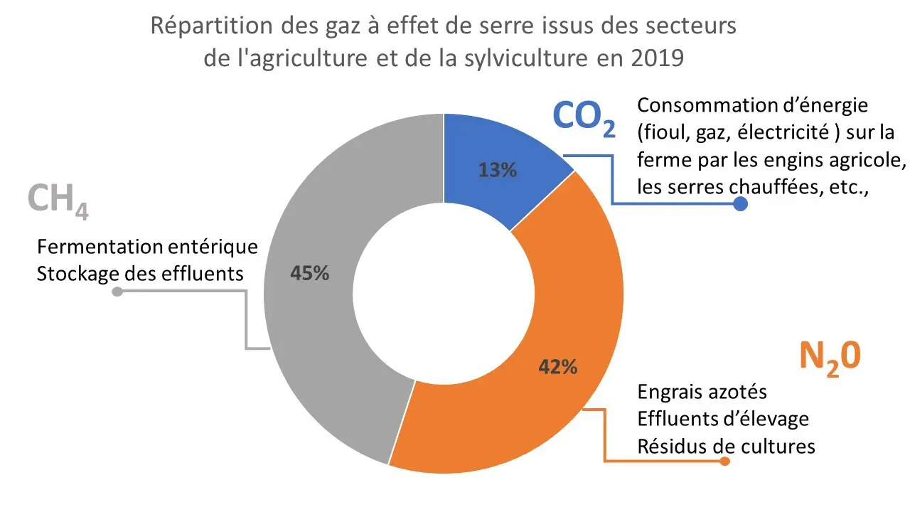 Fig.6: Répartition des gaz à effet de serre issus des secteurs de l’agriculture et de la sylviculture en 2019. Source: feve.co