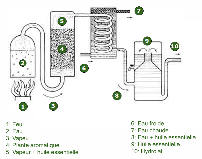 Schéma 1 : Schéma distillation. Source : Horssentials