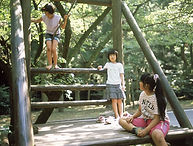 夏用.jpg