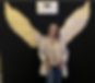 my wings 2