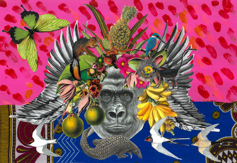 Collage