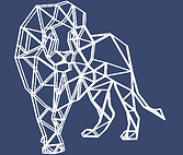 Dreyfuss Wealth Management Logo (5).png