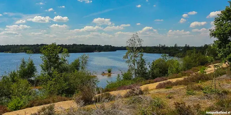 Maasduinen