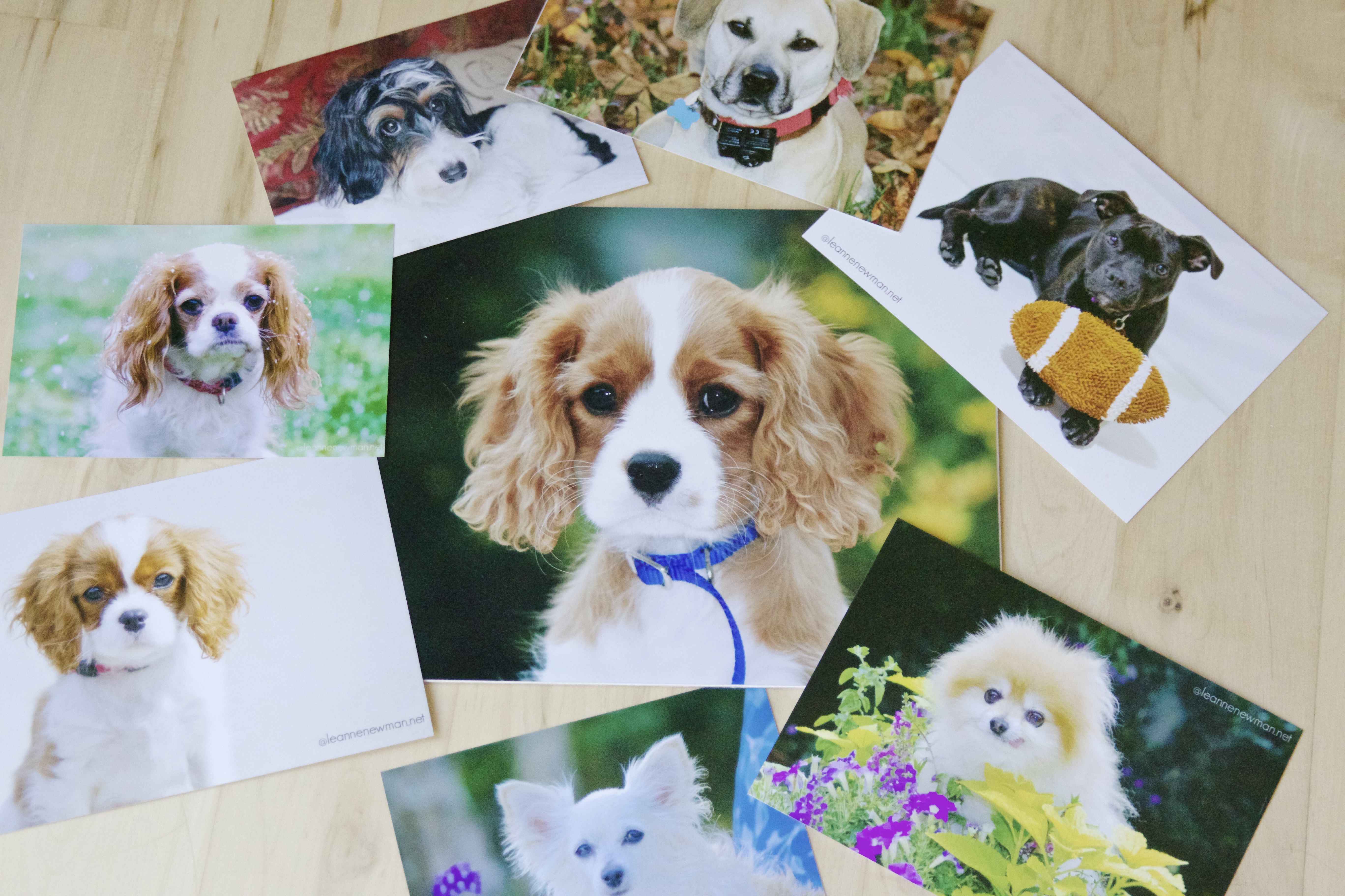 Photo Prints