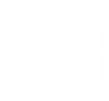 Browser Icon.png