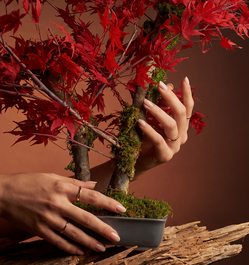 bonsai