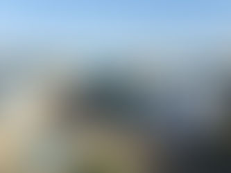 BRING THE EXILES HOME