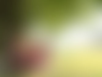 GOD’S WORD IS BOTH TESTAMENTS