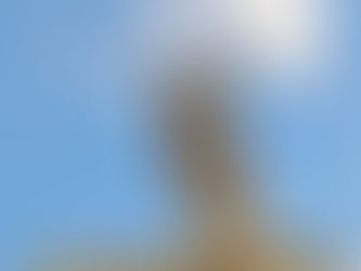 THE PROPHETS AND THE GOSPEL