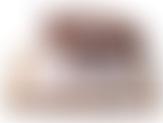 PROPHECIES FULFILLED IN CHRIST