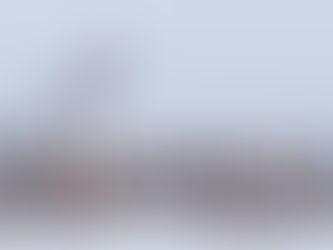 AN IDOLATROUS NATION