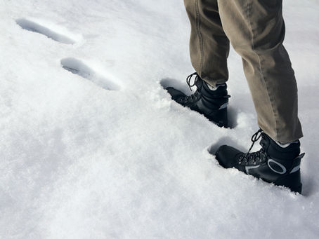 FOLLOWING IN THE DARK