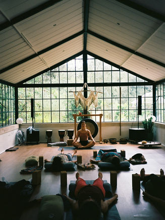 What Grows in a Land Where We Arrive From Different Places