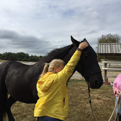 HTA with horse at CP.jpg