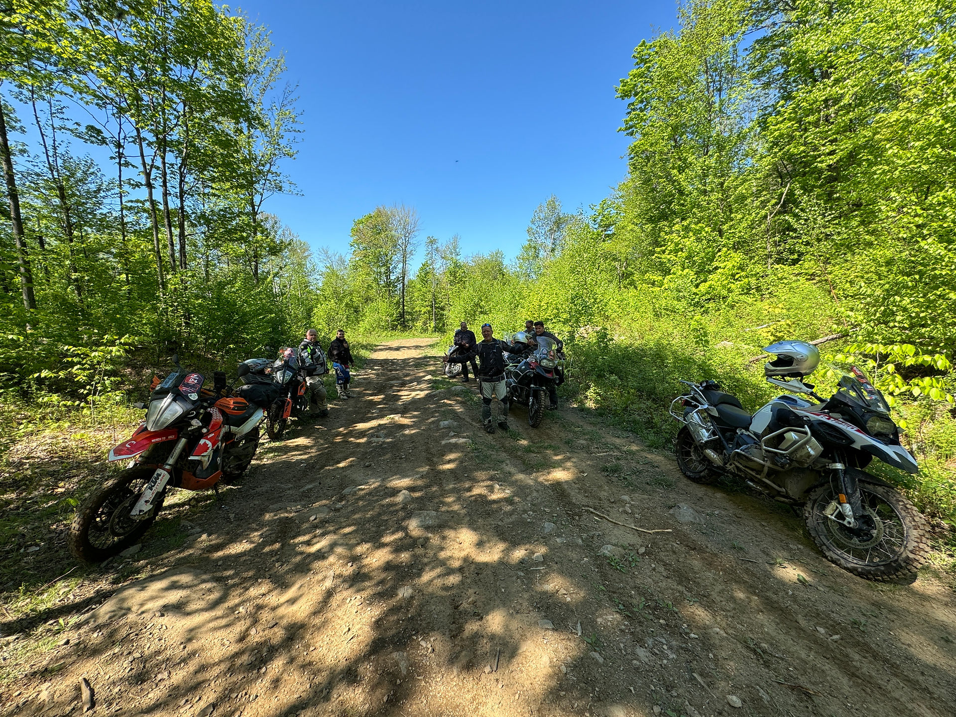 Motorcycles on a dirt trail road lined with trees, pulled over to the side.