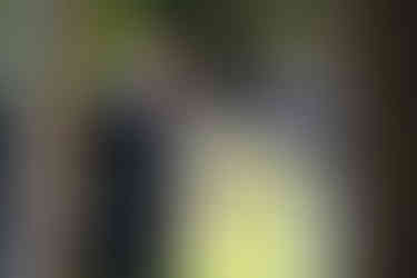 Corrine and shaw (12).jpg