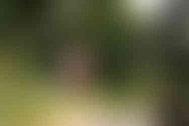 Natalie and David (15).jpg